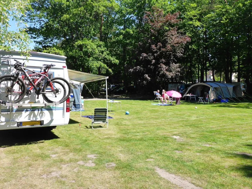 Recreatiepark d'n Mastendol - image n°4 - Camping Direct