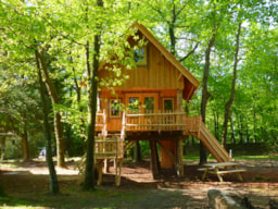Accommodation - Treehouse - Recreatiepark d'n Mastendol