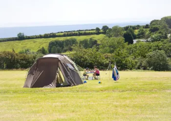 Stellplatz - Stellplatz Meadows - Tencreek Holiday Park