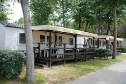 Mietunterkunft - Mobilheim Maxi Caravan Laguna + - Camping Laguna Village