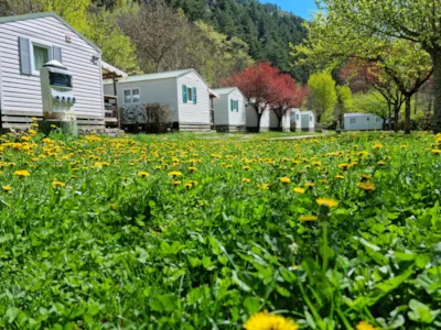 Camping Le Capelan - Occitanie