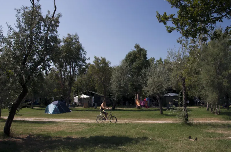 Emplacement + 1 Voiture + Tente + Électricité
