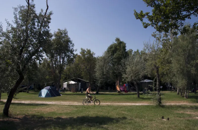 Forfait : Emplacement + 1 Voiture + Caravane + Électricité