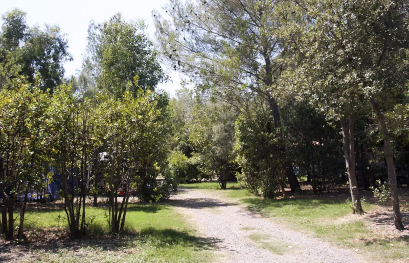 Forfait : Emplacement + 1 Voiture + Caravane + Électricité