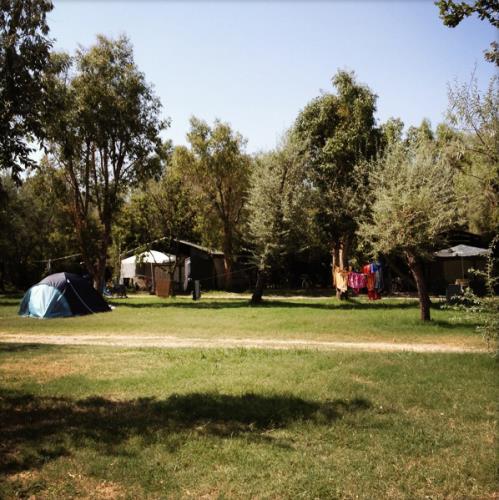 Pitch - Pitch Plus Electricity 10 - Camping Campo dei Fiori