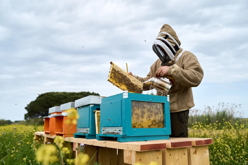Camping Campo dei Fiori