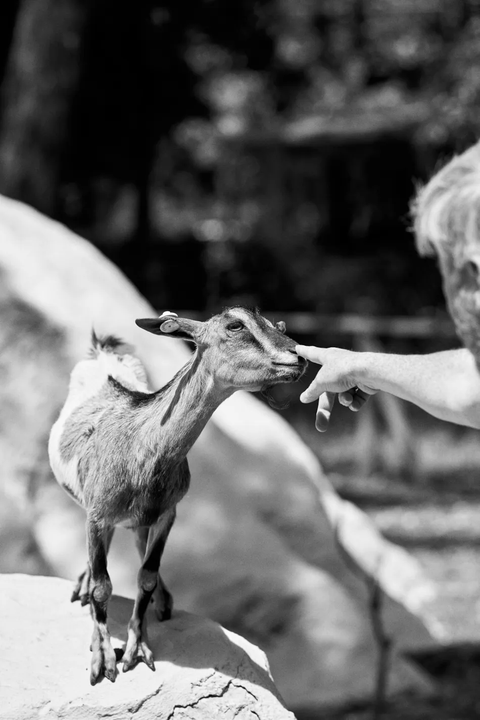 Camping Campo dei Fiori