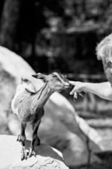 Foto #49 van Camping Campo dei Fiori