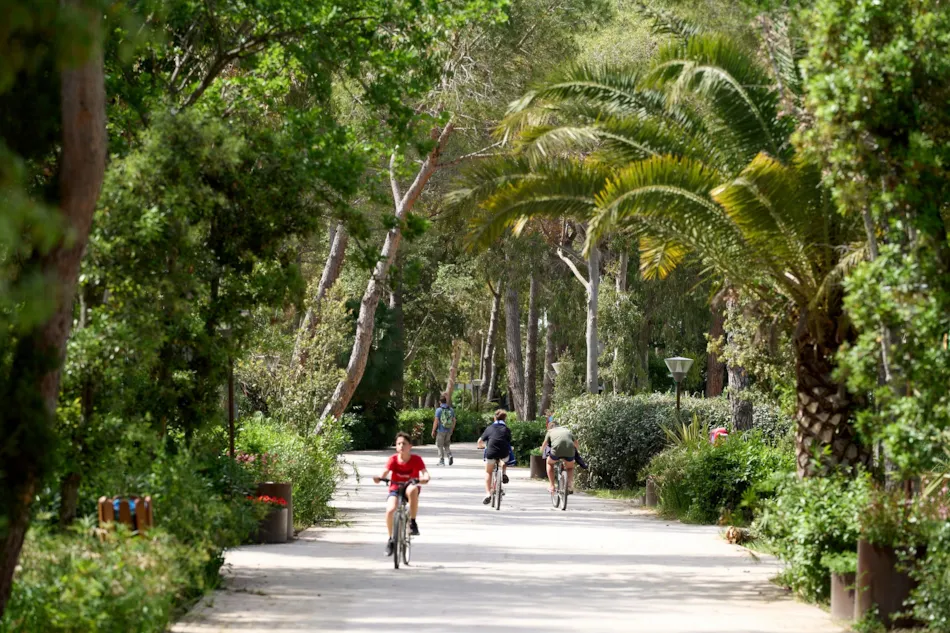 Camping Campo dei Fiori