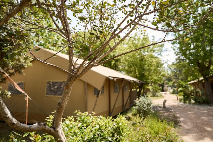 Lodge-Tent Baratti