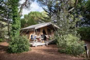 Location - Tente Toile & Bois Sweet - Huttopia Chardons Bleus - Ile de Ré