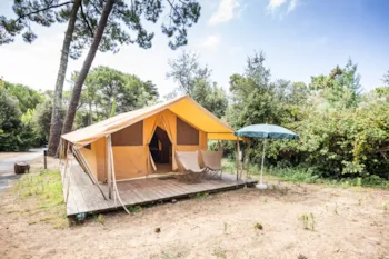 Location - Tente Toile & Bois Classic Iv - Huttopia Chardons Bleus - Ile de Ré