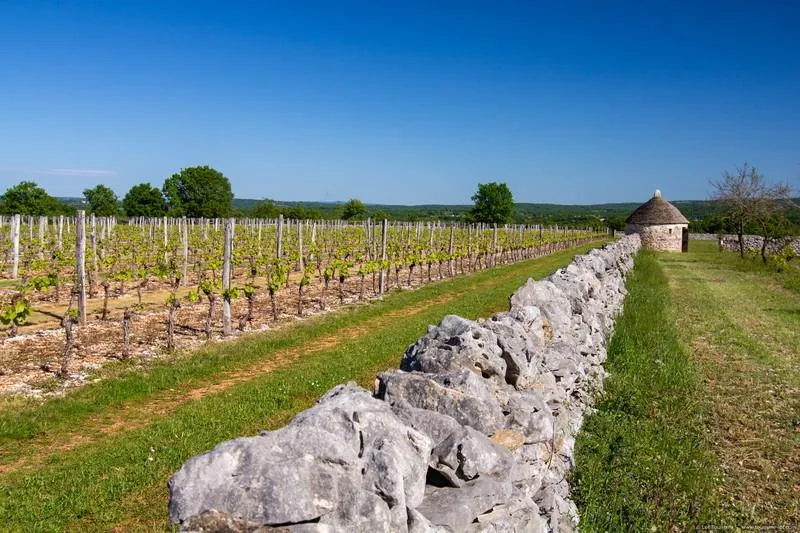 Camping naturiste Le Champ de Guiral - image n°12 - UniversalBooking