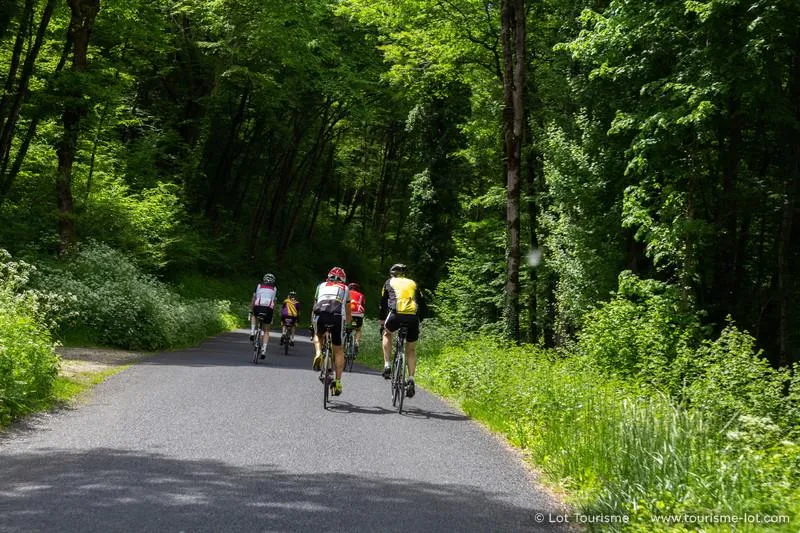 Camping naturiste Le Champ de Guiral - image n°17 - UniversalBooking