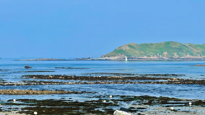 Tiny House - 2 Chambres