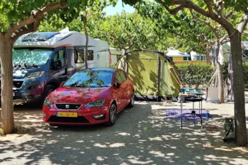 Stellplatz - Stellplatz Basic - Camping Clara