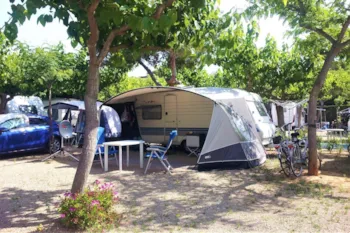 Stellplatz - Stellpltaz Standard - Camping Clara