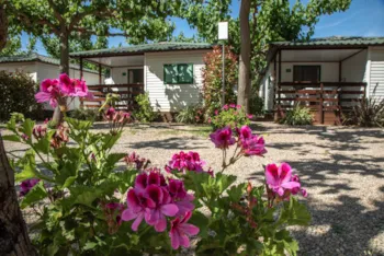 Mietunterkunft - Bungalow Cottage Clarà - Camping Clara