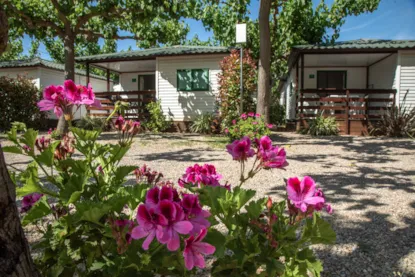 Bungalow Cottage Clarà