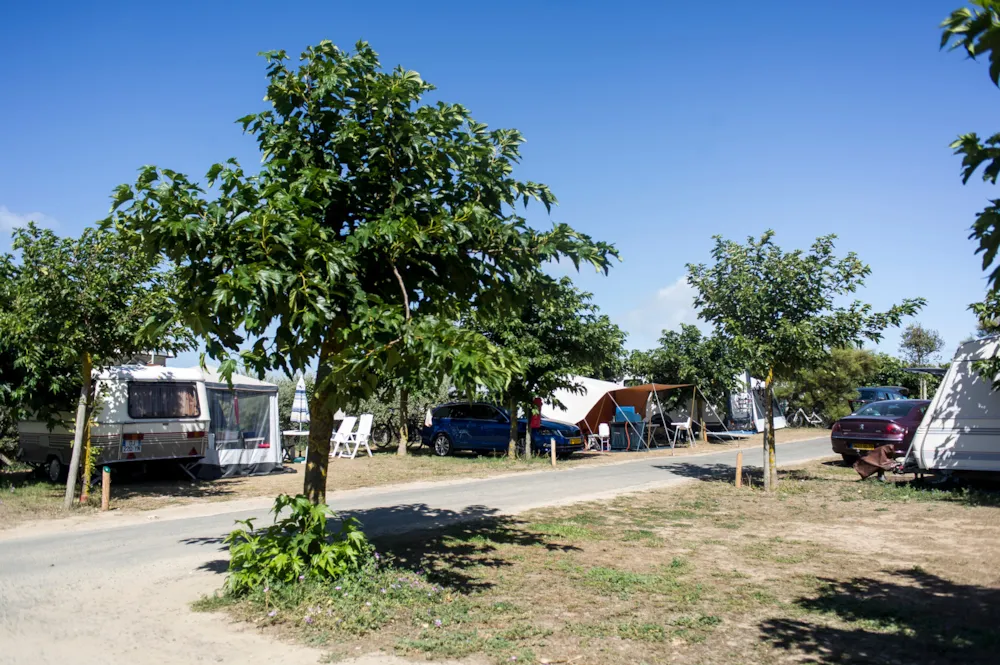 Huttopia Côte Sauvage - image n°9 - Camping Direct
