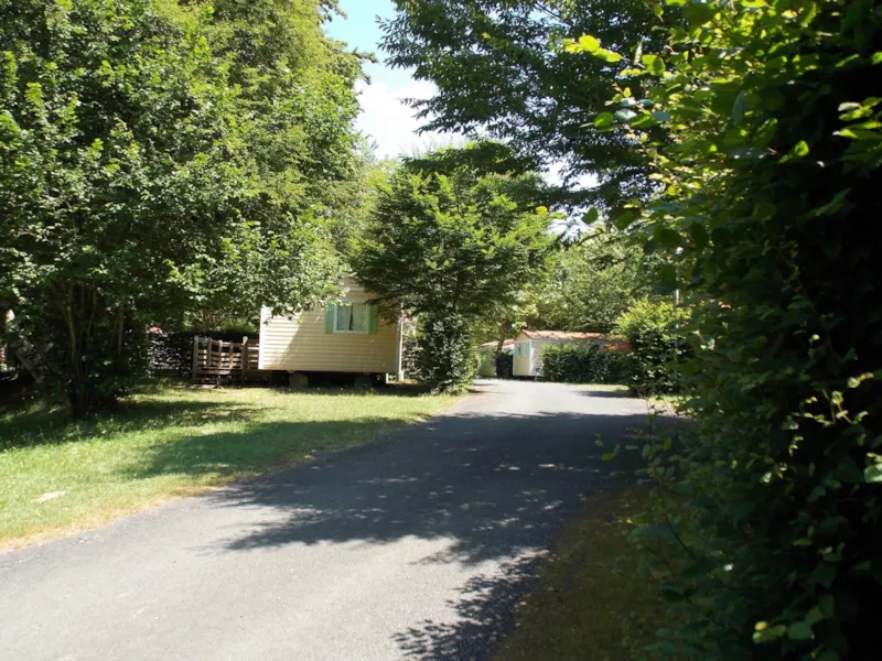 Mobil-Home Super Mercure Confort 28M² (2 Chambres) + Terrasse