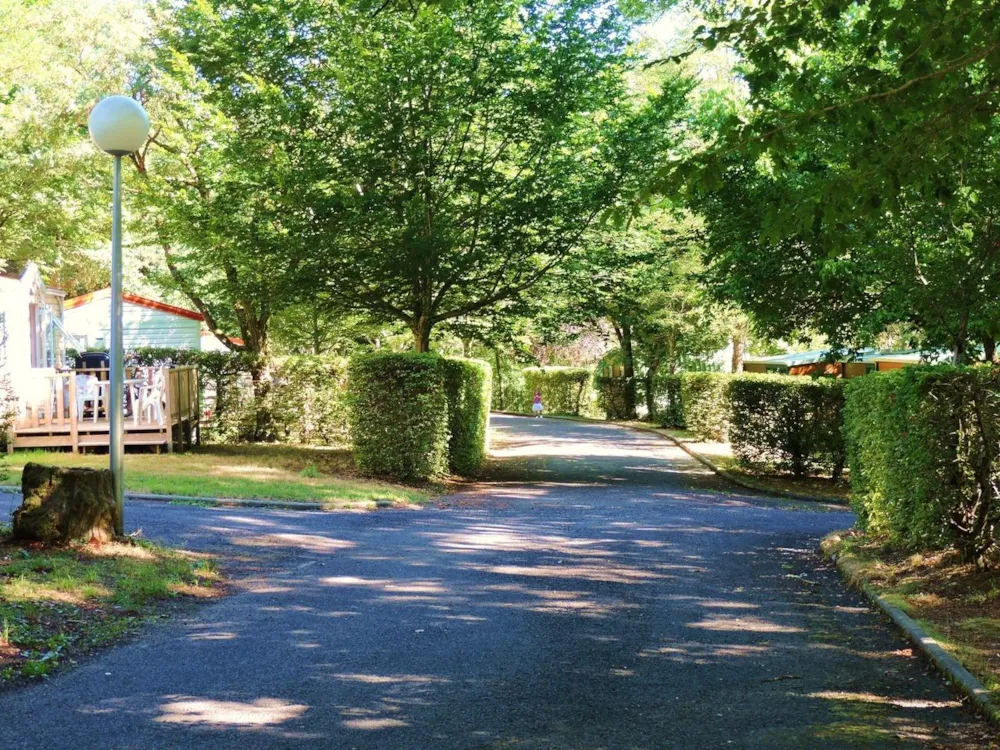Stellplatz - Stellplatz Mit Strom (Zelt, Wohnwagen, Wohnmobil / 1 Auto) - Camping Domaine La Plage du Garoustel