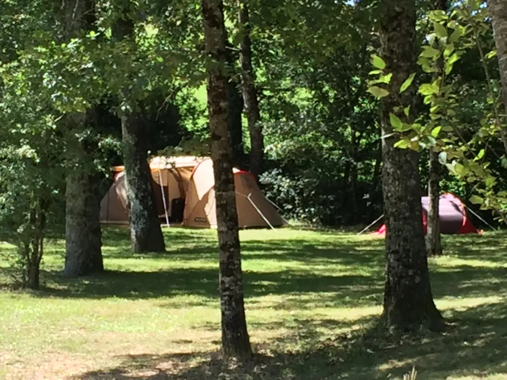 Stellplatz - Stellplatz Ohne Strom (Zelt, Wohnwagen, Wohnmobil / 1 Auto) - Camping Domaine La Plage du Garoustel