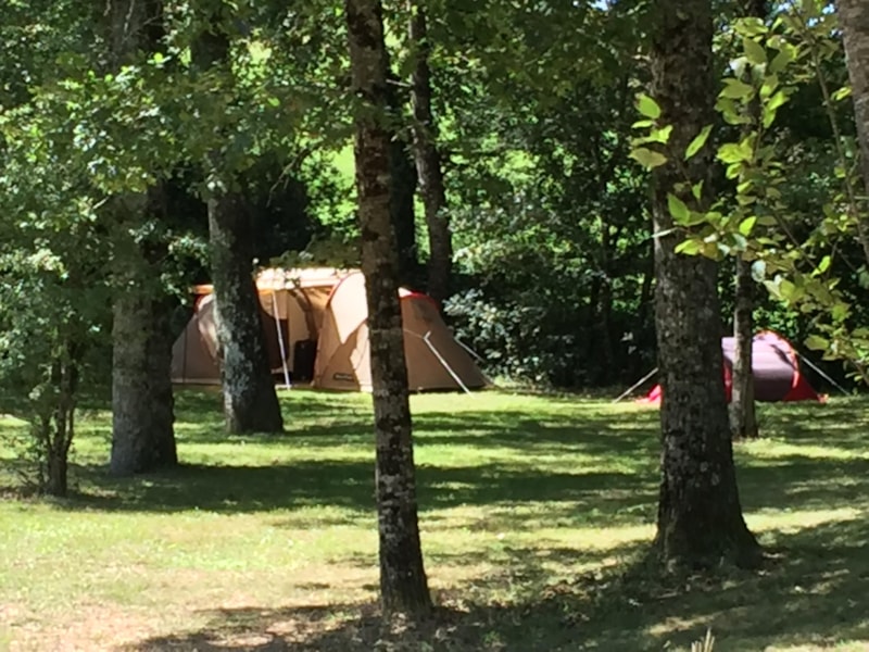 Standplaats zonder elektriciteit (1 tent, caravan of camper / 1 auto)