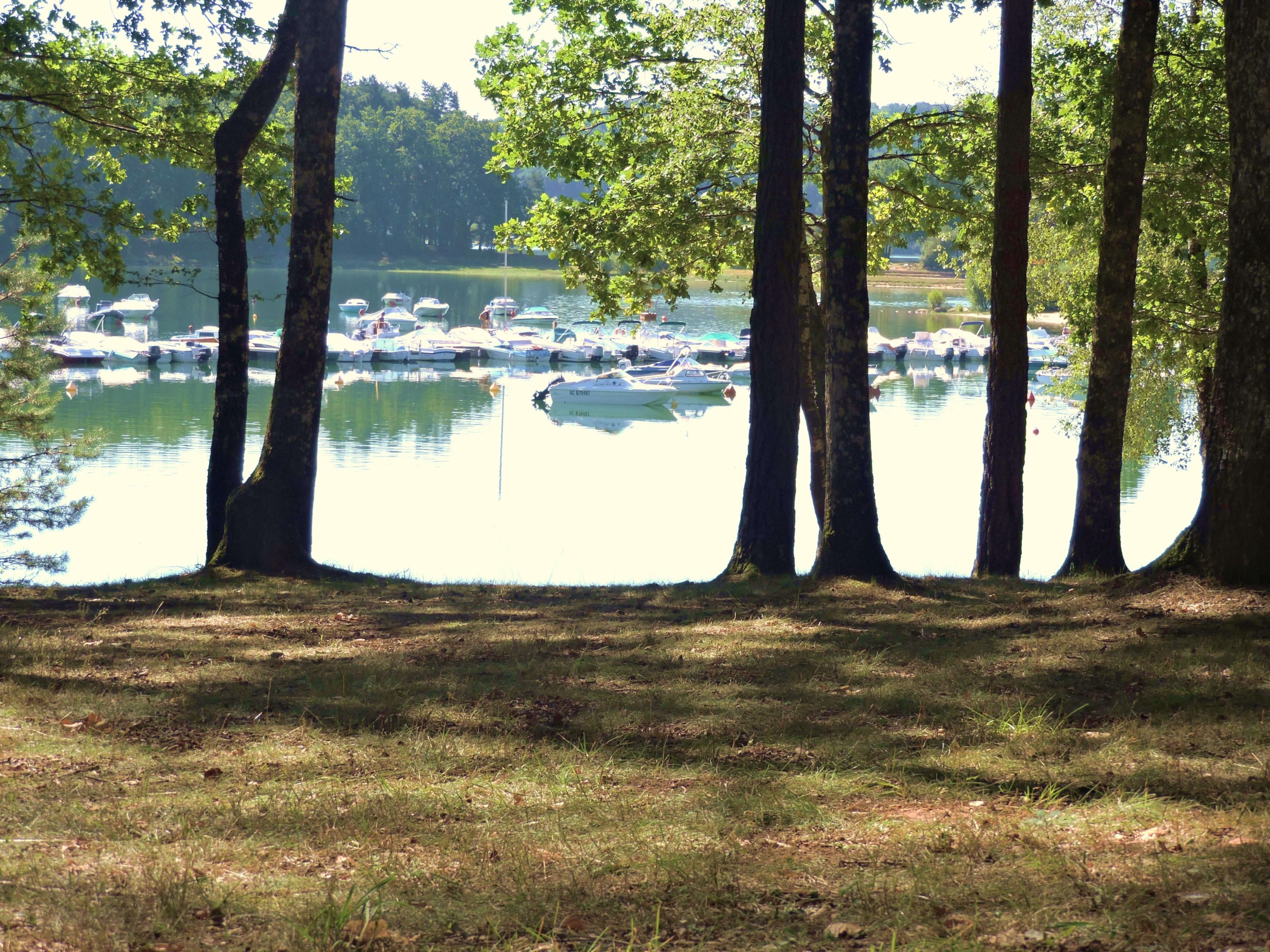 Camping Domaine La Plage du Garoustel — Photo 4