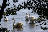 Foto #20 van Lodging le Lac
