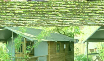 Huuraccommodatie(s) - Bungalodge 35M² - Lodging le Lac
