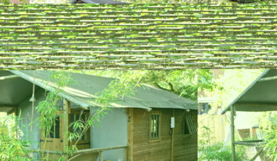 WOODEN BUNGALODGE 35m² - Loubine
