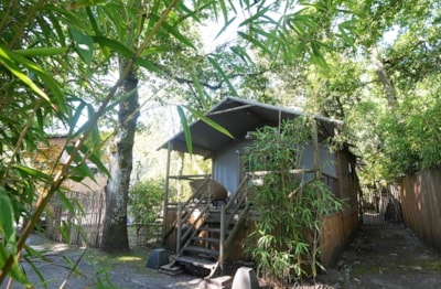 WOODEN BUNGALODGE 35m² - Loubine
