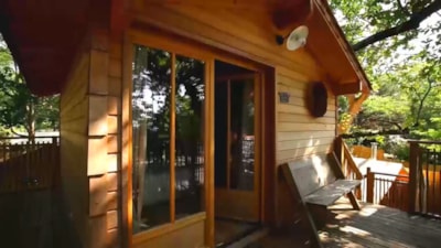 HOUSE IN THE TREE 15m² - Libellule