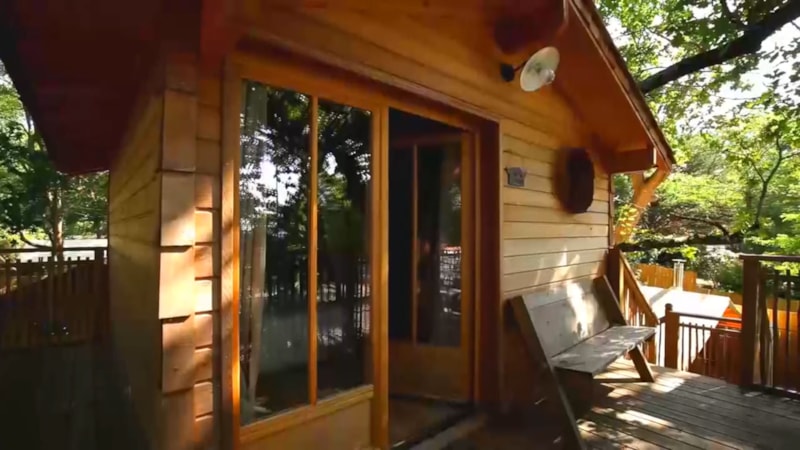 MAISON DANS L'ARBRE 15m² - Libellule