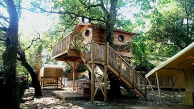 HOUSE IN THE TREE 15m² - Libellule