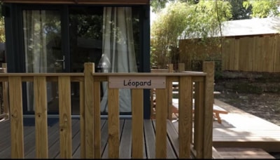 Tiny - Léopard