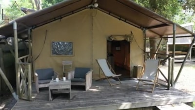 LODGE - Lycène