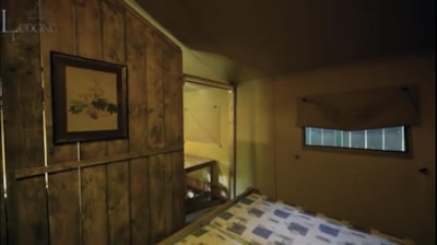 LODGE - Lycène
