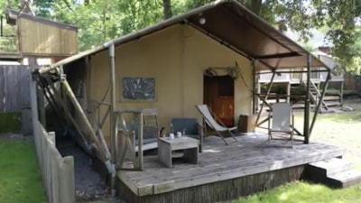 LODGE - Lycène