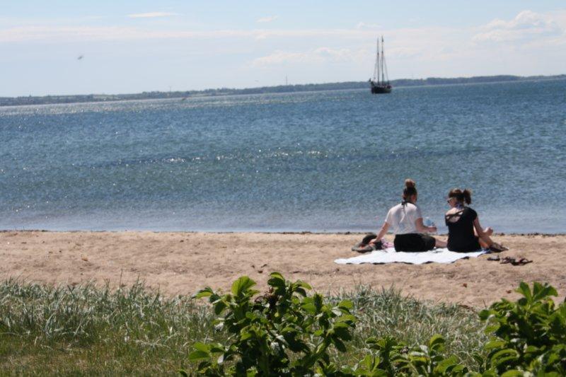 Plages Rosenvold Strand Camping - Stouby