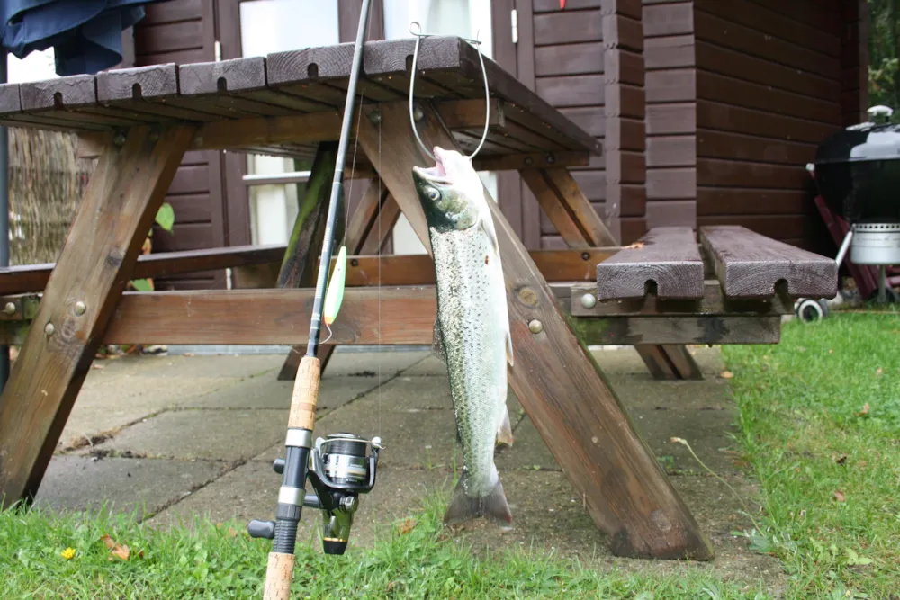 Rosenvold Strand Camping - image n°20 - UniversalBooking