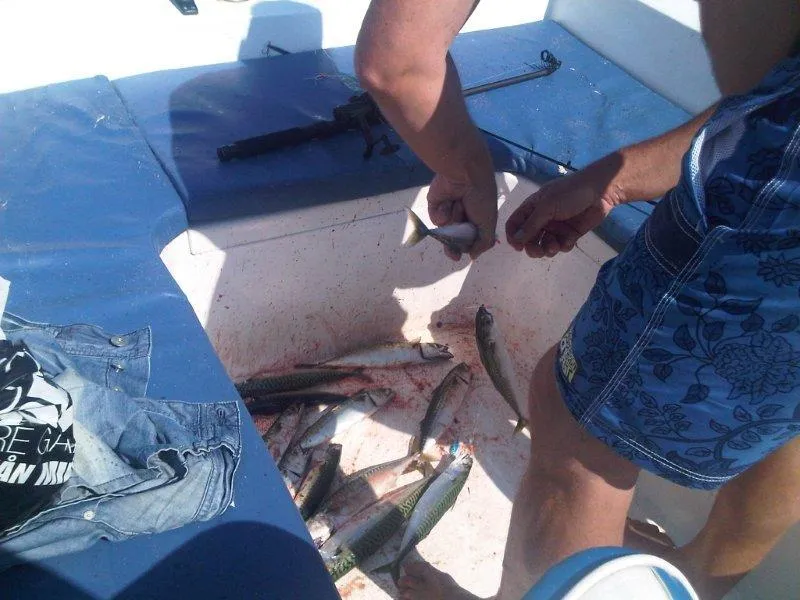 Rosenvold Strand Camping - image n°29 - UniversalBooking