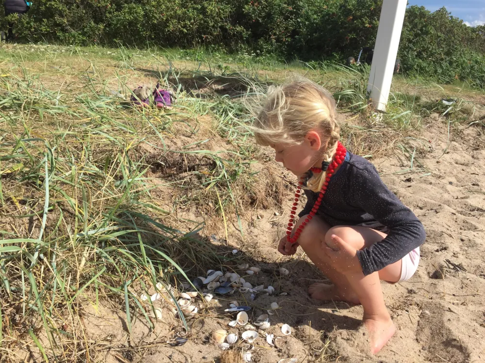 Rosenvold Strand Camping - image n°10 - UniversalBooking