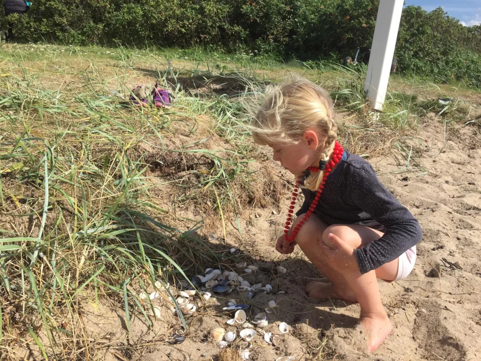 Rosenvold Strand Camping