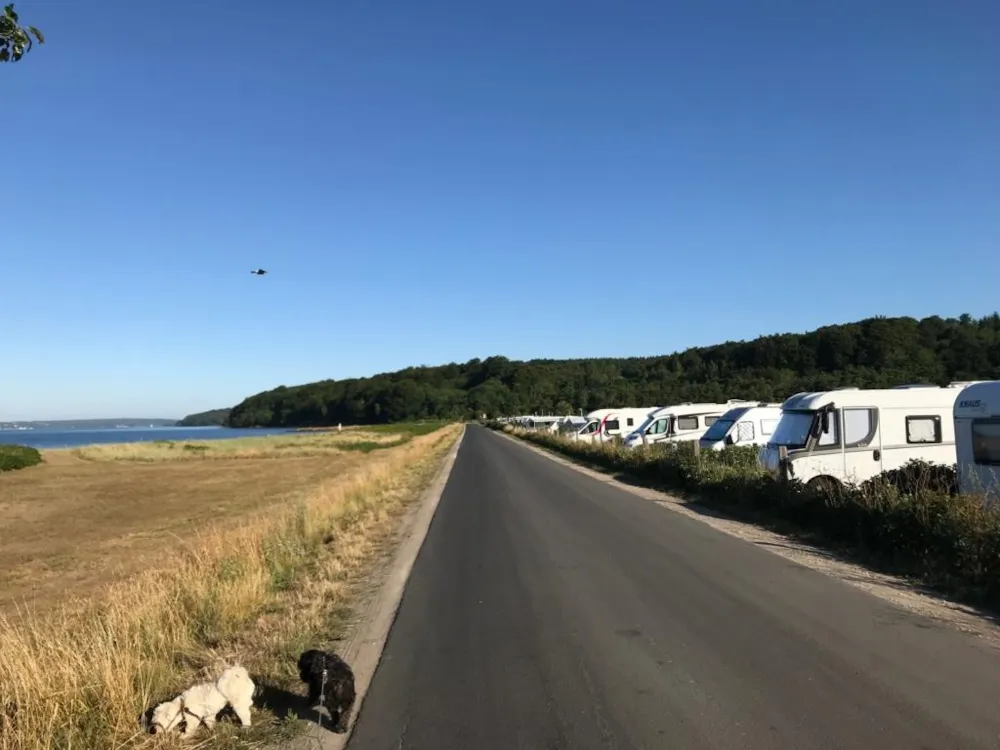 Rosenvold Strand Camping - image n°5 - UniversalBooking