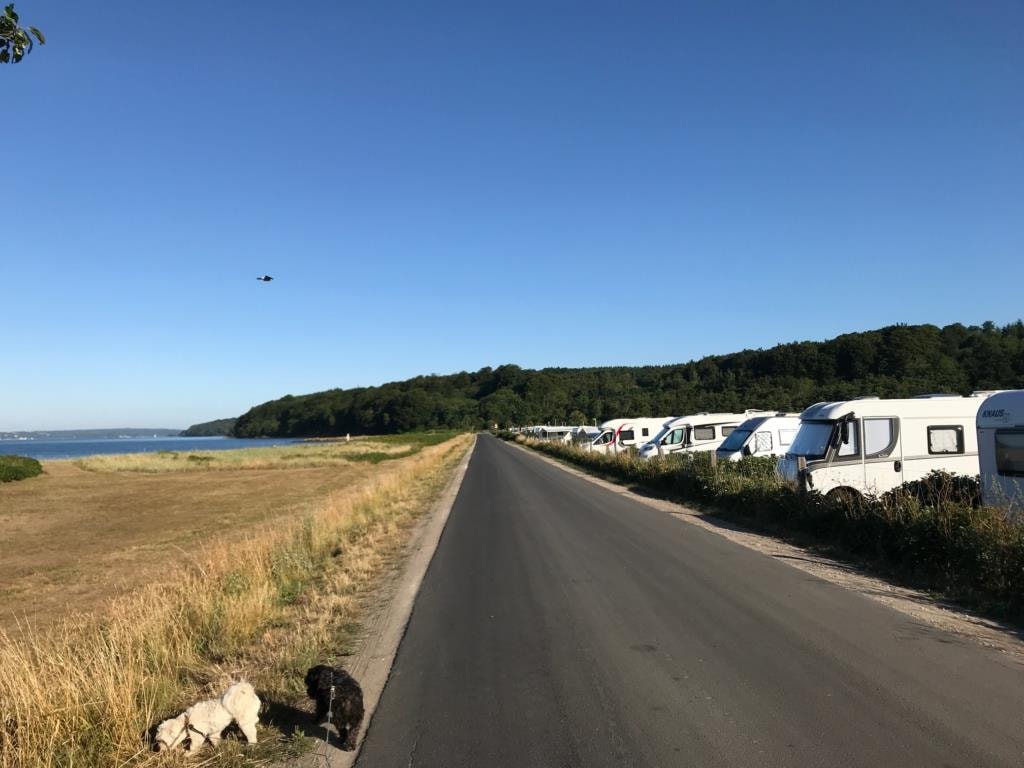 Rosenvold Strand Camping — Photo 7