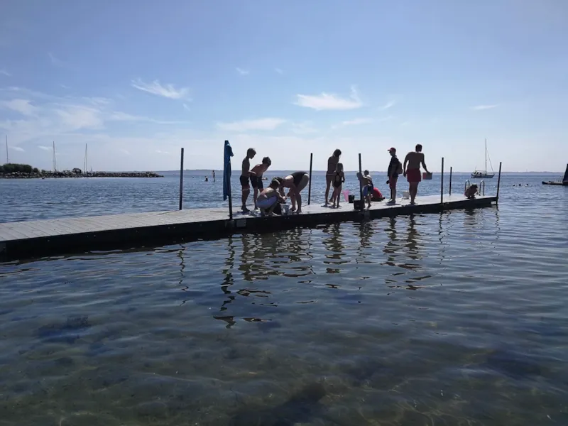 Emplacement Auto Tente/Caravane /Camping-Car