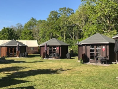 Cabin