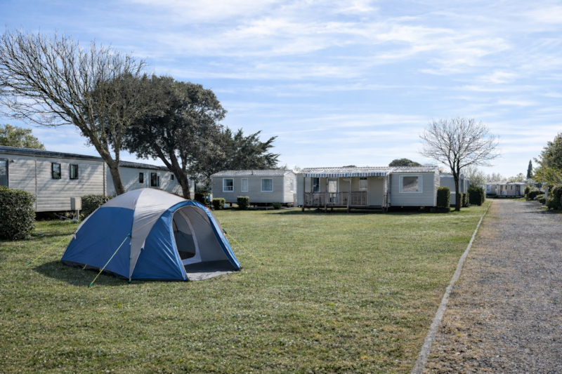 Comfort standplaats: auto + tent / caravan of camper